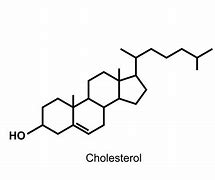 Image result for CHOLESTEROL