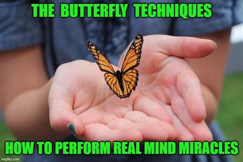 Learning Butterfly Tricks 的图像结果