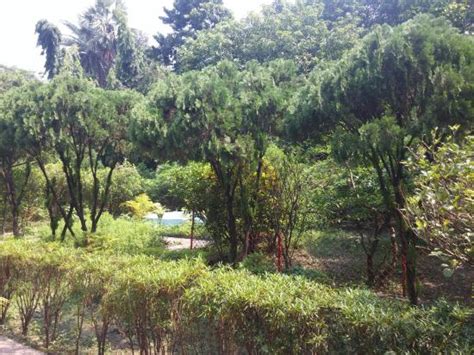 Great place to have Bengali religious ceremonies like Sacred Thread ...