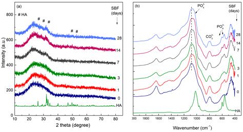 Unveiling the Potential of Bioactive Glass in Volumetric Muscle Loss ...