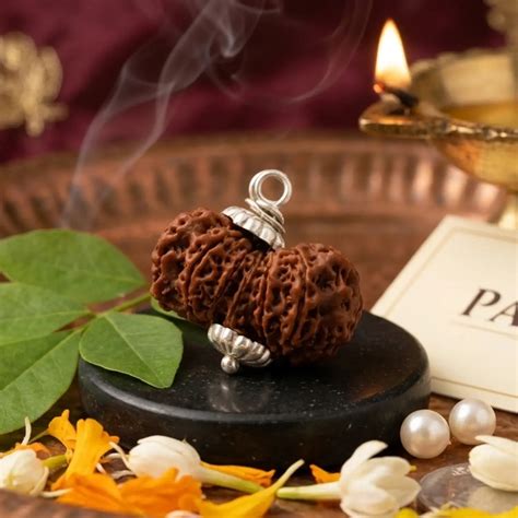 Shop 100% Natural 14 Mukhi Rudraksha Online - Pandit.com