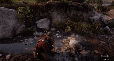 How to find and hunt the legendary coyote in Red Dead Redemption 2