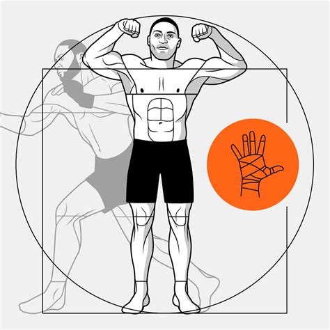 Imagining the perfect MMA fighter - ESPN