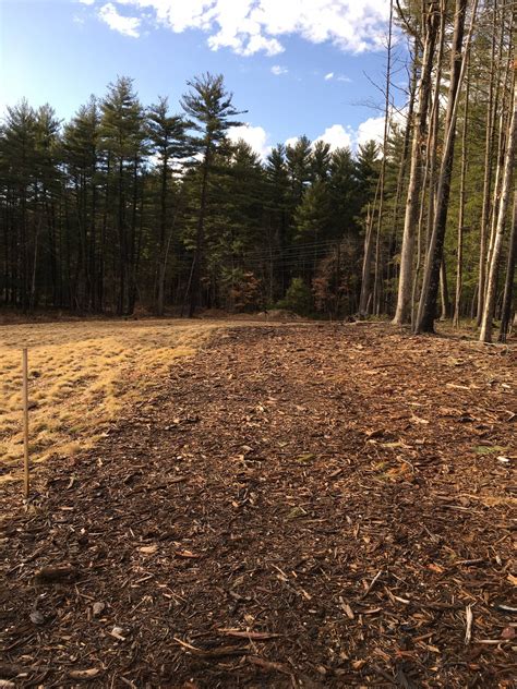 Hole 11 • Winding Trails (Temp Course) (Farmington, CT) | Disc Golf ...