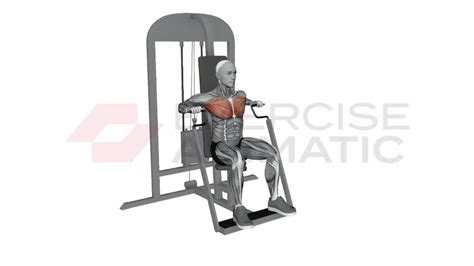 Chest Press Machine Exercise 的图像结果