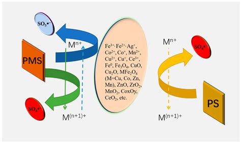 A Review of Sulfate Radical-Based and Singlet Oxygen-Based Advanced ...