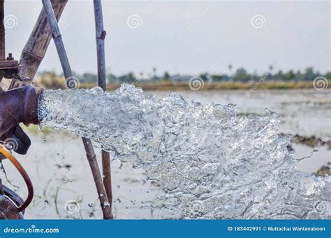 水泵 — 泰国中部农村稻田大管泵的强水， 开始 库存图片. 图片 包括有 农夫, 流动, 本质, 传递途径 - 183442991