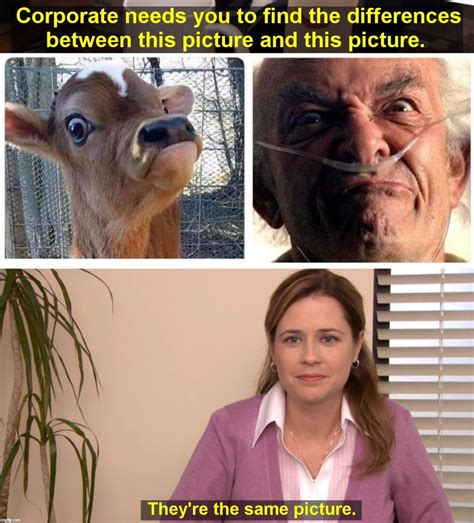 Image tagged in memes,they're the same picture - Imgflip