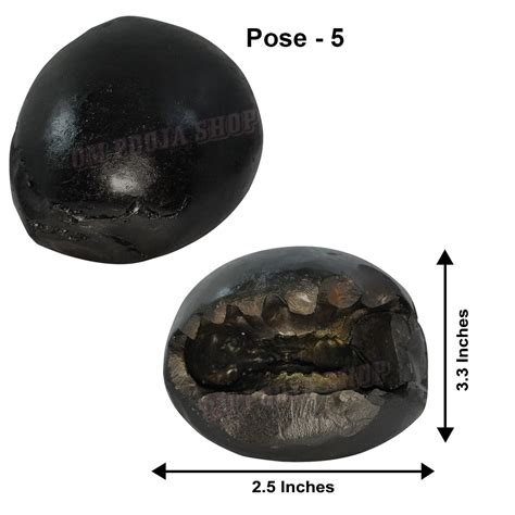 Buy Shri Narayan Vishnu Shaligram Stone online