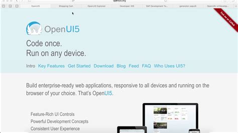 OpenUI5 Tutorial 的图像结果