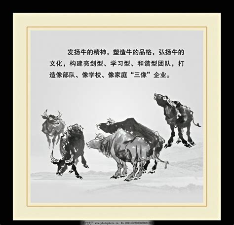 老黄牛孺子牛拓荒牛孺子牛拓荒牛老黄牛真实图片
