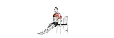 Top 10 Home Workout Exercises for Chest [Best Chest Workout]