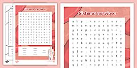 Sopa de letras del sistema digestivo | Twinkl (teacher made)