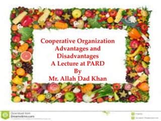 Cooperative Advantages and Disadvantages 的图像结果