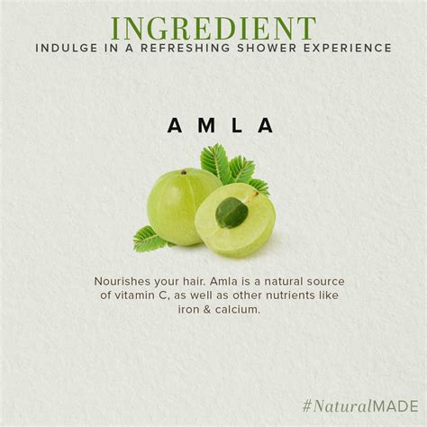 Organic Amla Powder | organic amla powder online | Buy Khadi Natural ...
