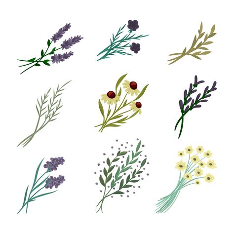 Image result for Composition of Flowers Tutorial