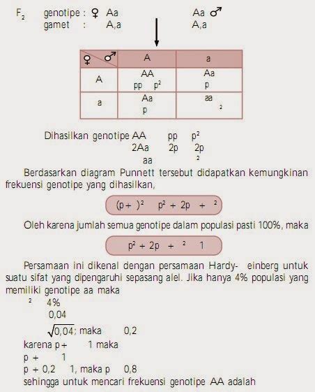 Contoh Soal Hukum Hardy-Weinberg