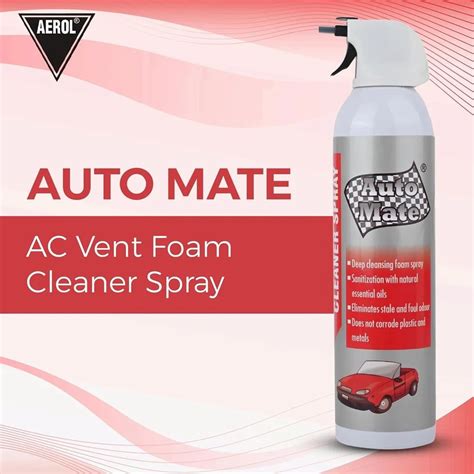 Car Spray Cleaner - AM AC Vent Foam Cleaner Spray, Gr. 2199 ...