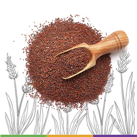 Delicious Finger Millet Rice Meals With Nutritious