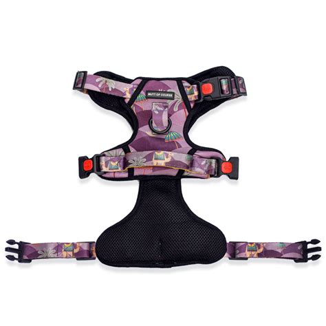 Royal Indian Camel Ruff N' Tuff Harness – Mutt of Course