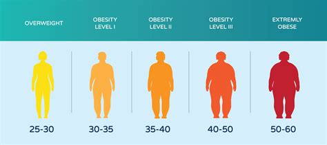 Stages Of Obesity