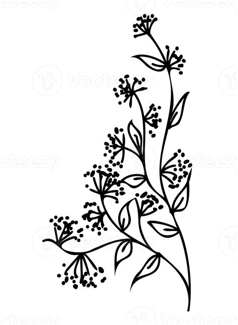 Line art Plant illustration. Outline floral design. PNG with ...