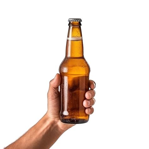 Beer Bottles Clipart at Donna Lucero blog