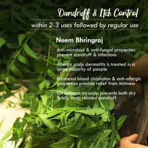 Buy NAT HABIT NEEM BHRINGRAJ FRESH HAIR MASK ANTI-DANDRUFF | ITCH ...