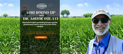 Agriculture Policy, Sustainability and Innovation (APSI)