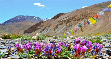 Best Tourist Places in India to Visit in Summer | Travel Blog - Expedia