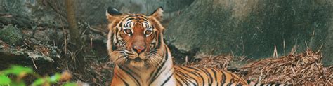 Image result for Machine Learning Algorithms Performance Ranking