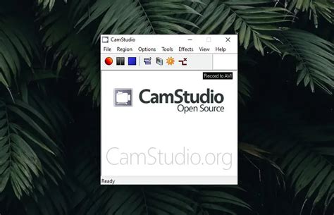 Image result for Capture Internet Video