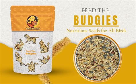 Buy Foodie Puppies Bird Food for Budgies - (1Kg, Pouch) | Natural ...