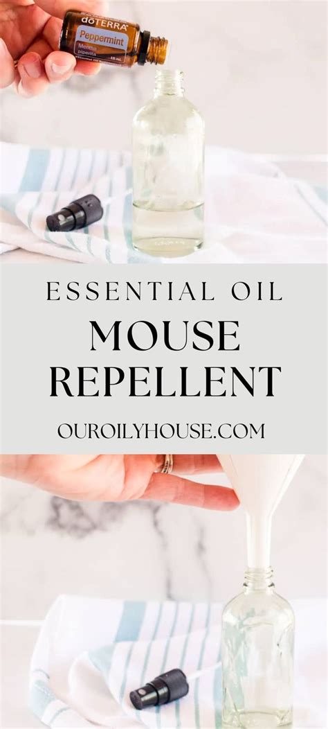 essential oils keep mice away
