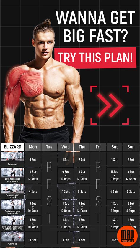 gym workout plan for muscle gain