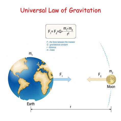 Why Do All Objects Fall Towards The Ground At The Same Rate, Regardless Of Their Weight ...