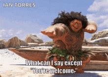 You Are Welcome Meme GIFs | Tenor