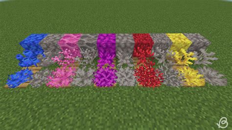 Image result for Coral Farm Minecraft Java