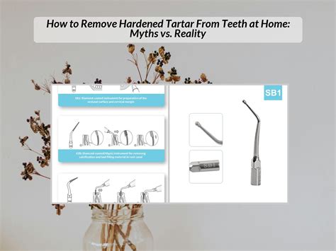 How to Remove Hardened Tartar From Teeth at Home: Myths vs. Reality ...