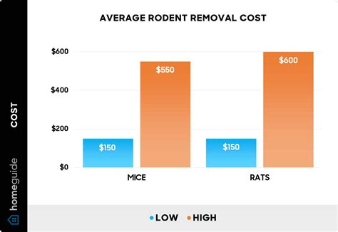 How Much Does Rodent Removal Cost? (2026)
