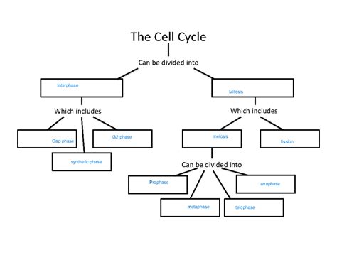 Cell Cycle Concept Map Biology 的图像结果