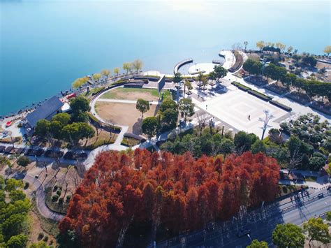 Image result for Data Structures Overview