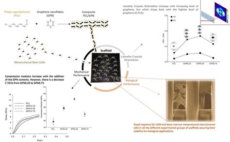 Polymers | Special Issue : Polymeric Materials for Biomedical Applications