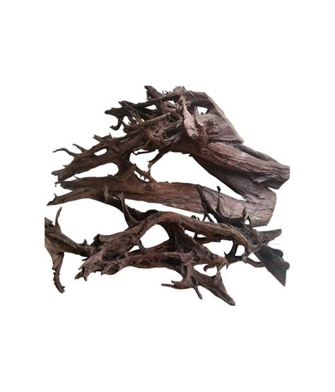 KW Zone Aquarium Drift Wood XXL Mangrove Root | SMBG B2B Website