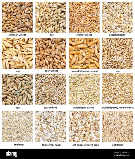 various cereal grains with names close up Stock Photo - Alamy