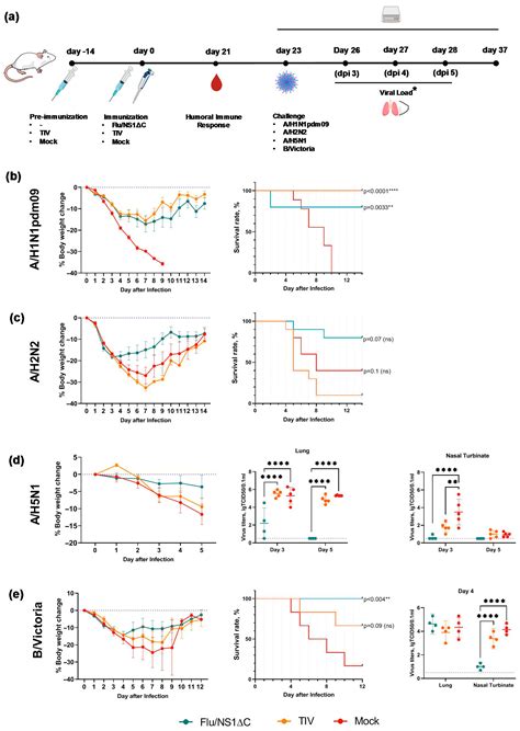 Novel Intranasal Replication-Deficient NS1ΔC Flu Vaccine Confers ...