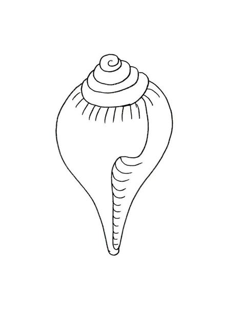 Image result for Simple Conch Shell Drawing