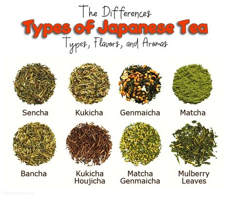 Types of Japanese Tea: A Guide to Flavor and Aroma