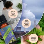 Breatheasy Essential Blend | Aromas Breatheasy Blend Oil