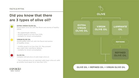 How Olive Oil is Made - Cultivamos
